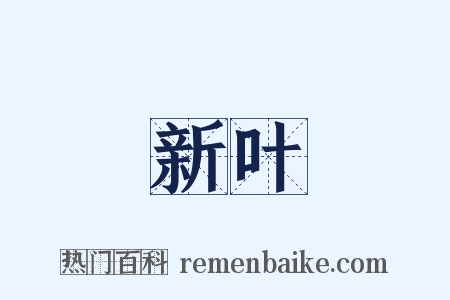 新叶是什么意思的图片